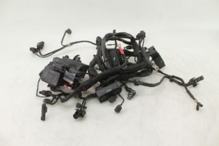 17-19 Bmw S1000rr Main Engine Wiring Harness 61118355084