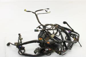 2007 07 Harley Softail Heritage Deluxe Springer Deuce Main Wiring Harness