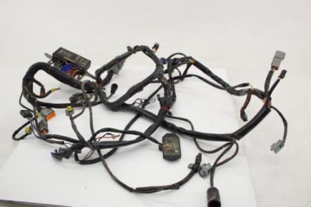 2006 Harley Davidson Softail Deluxe Flstn Main Engine Wiring Harness