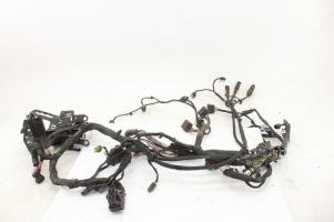 2018-2020 Harley Softail Man Wiring Harness With ABS