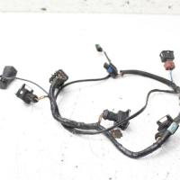 2006 Triumph Tiger Ignition Coil Wiring Harness Wire Loom