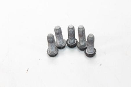 2010-2017 Victory Cross Country Rear Rotor Bolts 7518661
