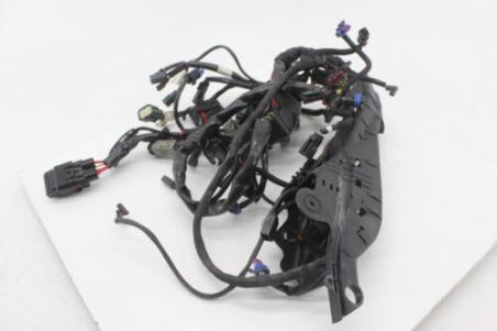 17-22 Harley Davidson Sportster 883 Main Wiring Harness ABS